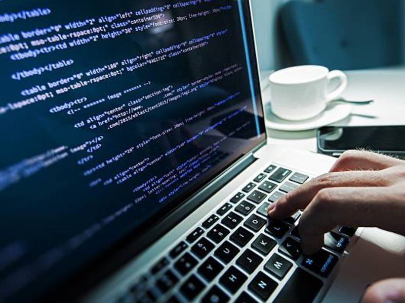 bahasa pemprograman web developer