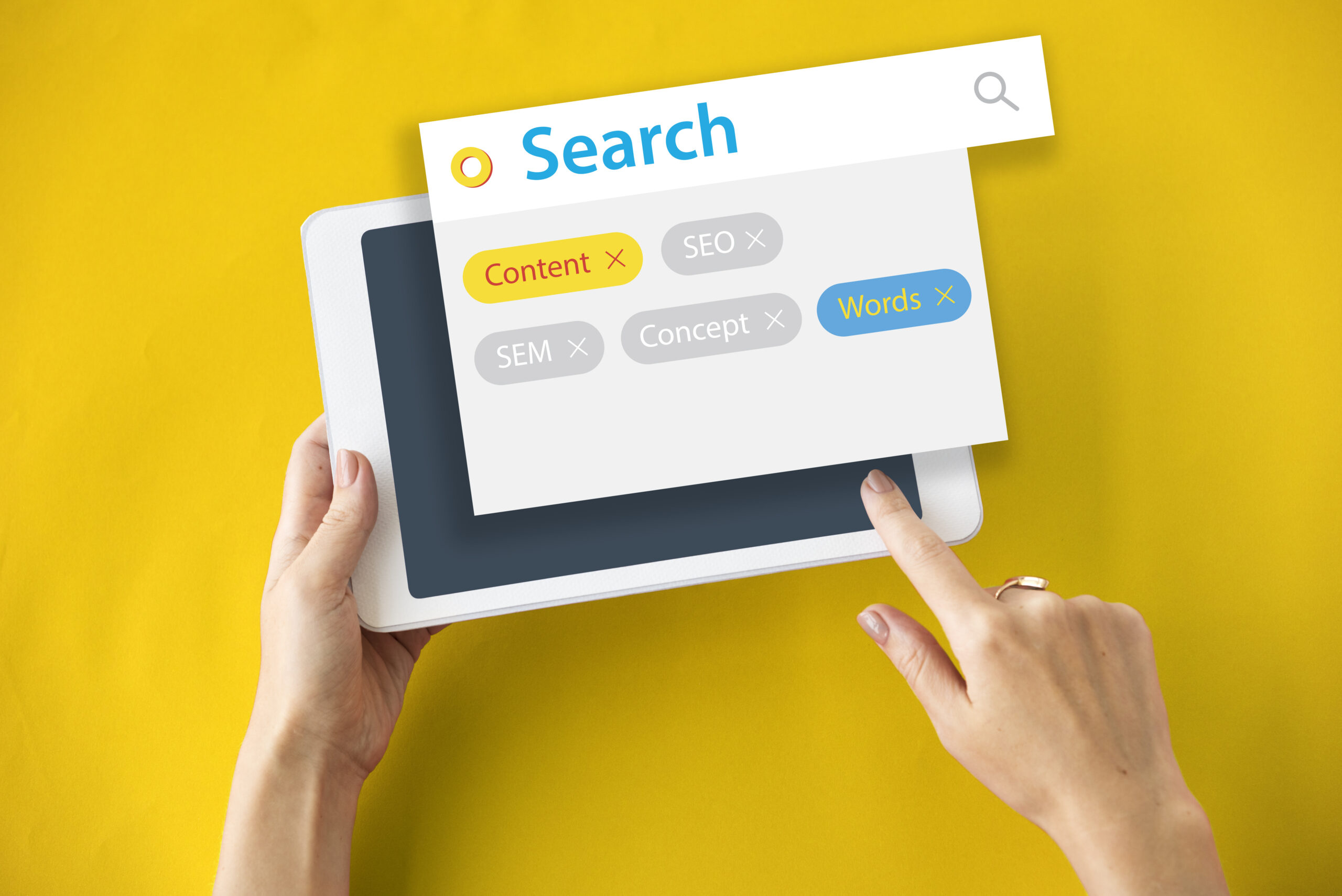 cara melihat rangking website kita